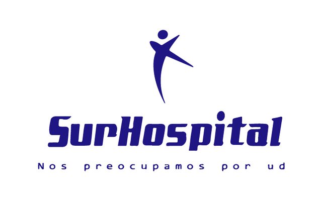 Hospital del Sur — proyecto NETTO